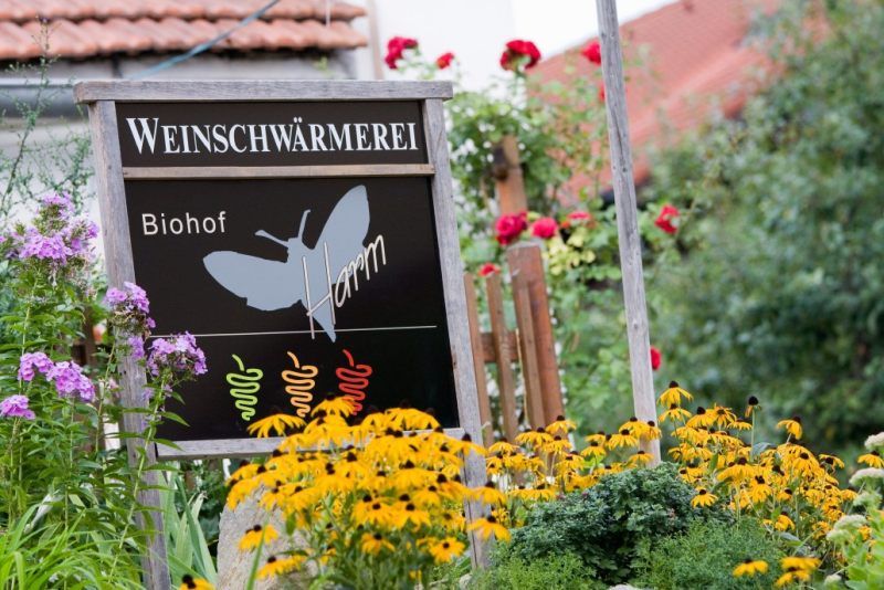 Tabuľka s nápisom "Weinschwärmerei Biohof Harm" v rozkvitnutej záhrade.