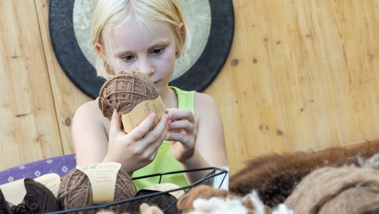 Sonnleiten Alpacas, &copy; Theo Kust