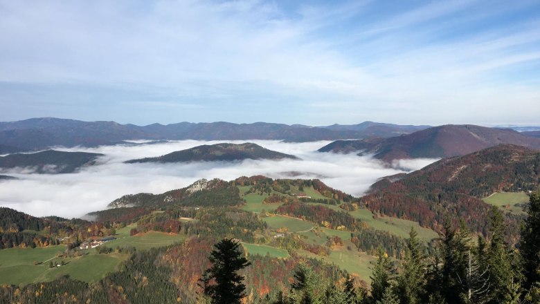 View into the sea of fog, © Naturpark Hohe Wand