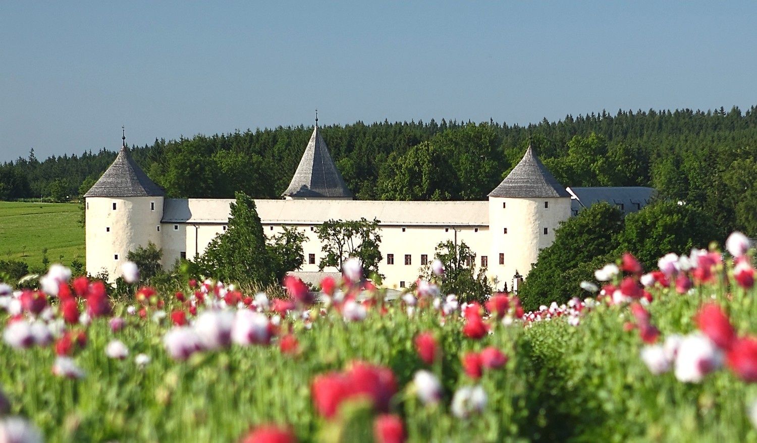 Hrad Ottenschlag
