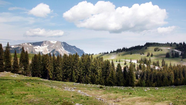 Ötscher view from the Feldwiesalm, © weinfranz.at