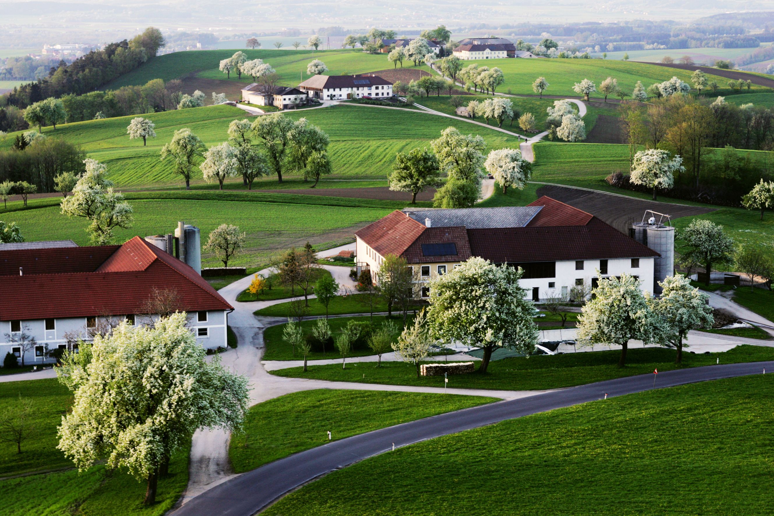 Krajina so zelenými kopcami, kvitnúcimi stromami a farmami v Euratsfelde.