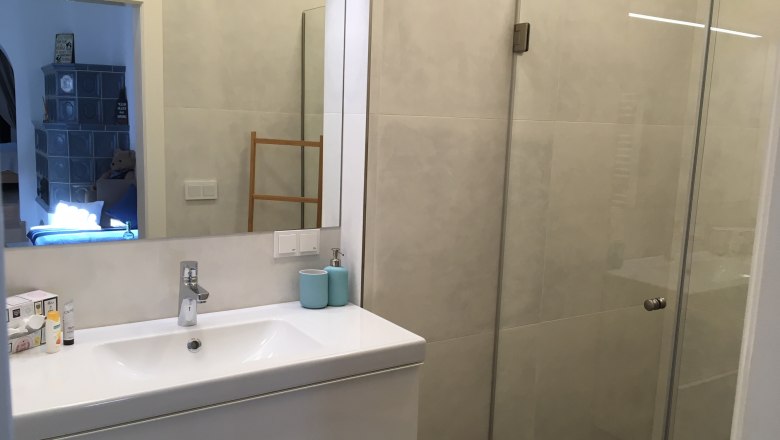 Bathroom guest apartment, &copy; Nicole H&ouml;llerer