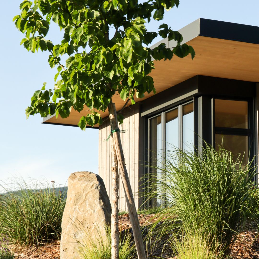 Moderná chata s dreveným obložením, obklopená stromami a trávou.