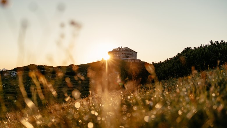 Na Habsburghause (11. etapa) načerpajte nové sily., © Niederösterreich Werbung/Franziska Consolati