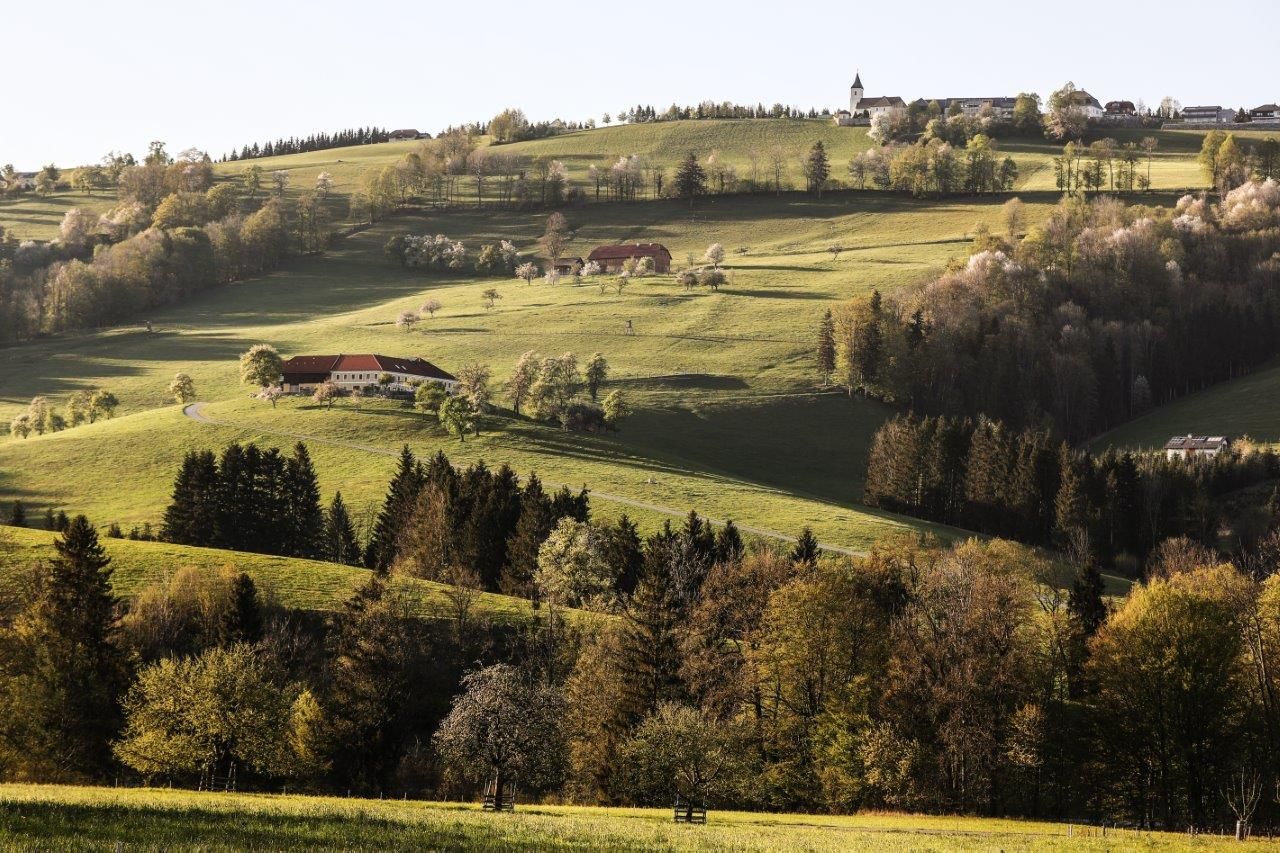 Fotografický bod Konradsheim