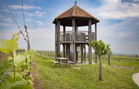 KWTD Fels am Wagram viewing platform, © Donau Niederösterreich, Barbara Elser