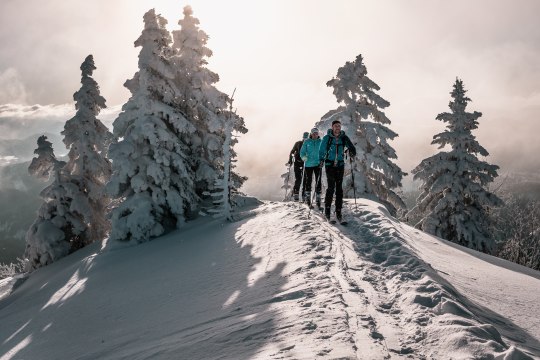 Vyjsť hore a pozrieť sa dolu, © Gerald Demolsky