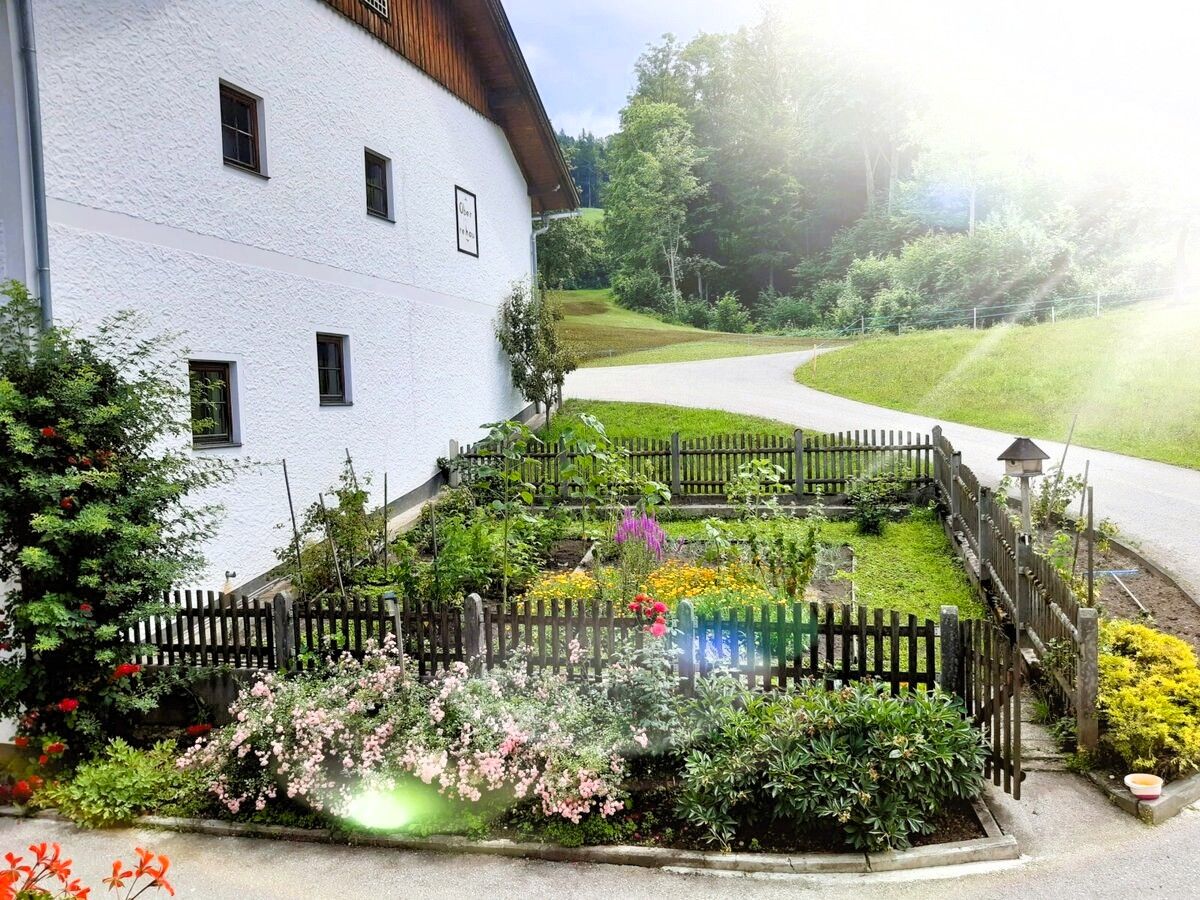 Dovolenka na farme-Oberrehau