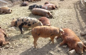 Binder Bio, &copy; Binder Bio