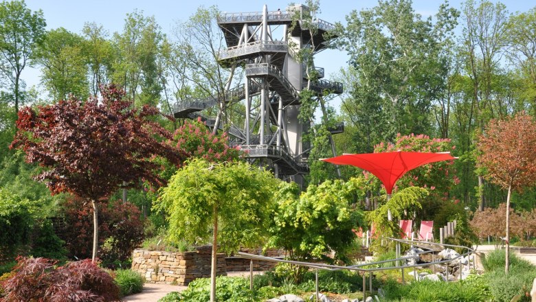 Treetop walk, © DIE GARTEN TULLN