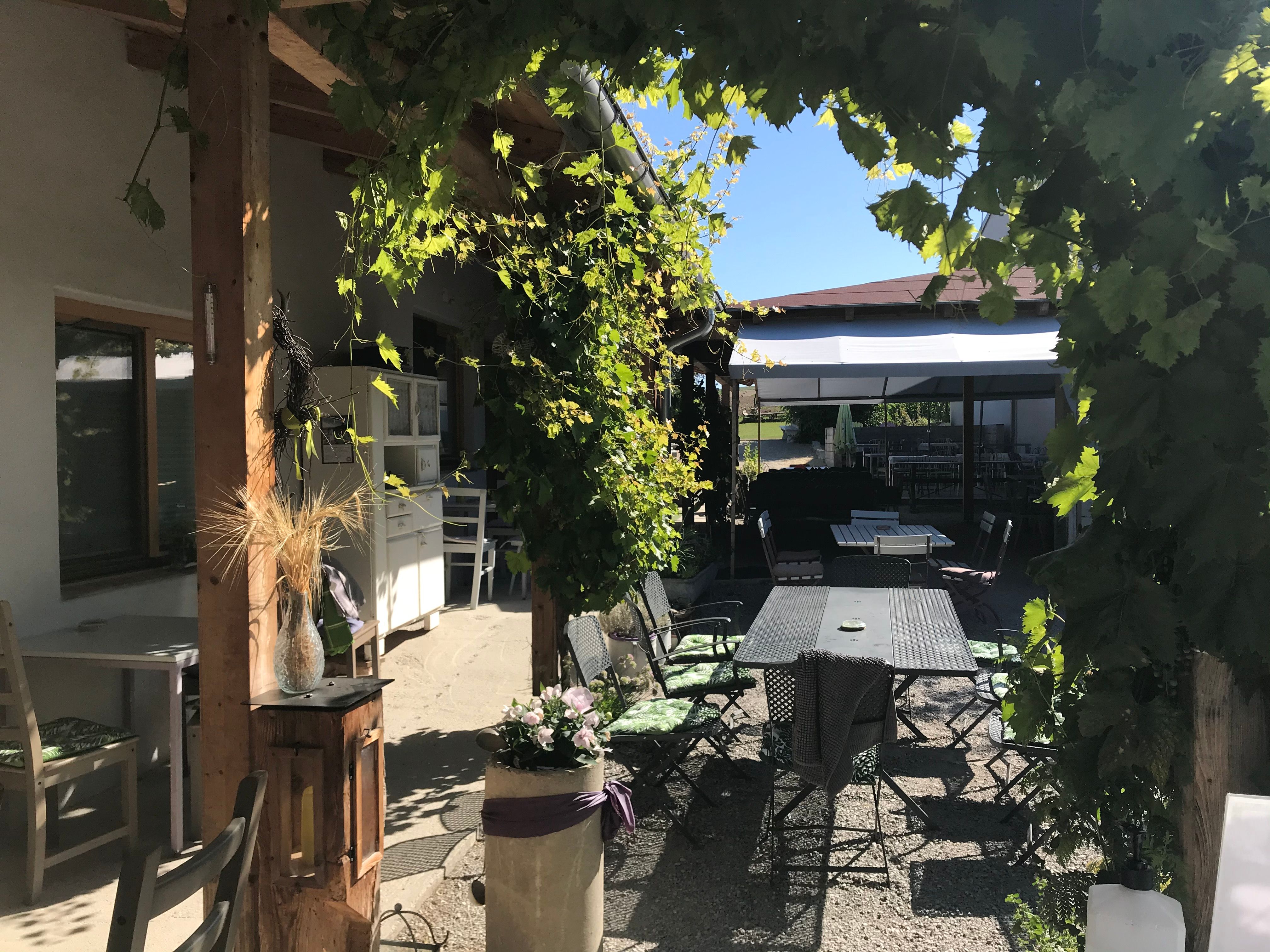 Útulná záhrada pre hostí so stolmi a stoličkami, obklopená zeleným viničom a slnečnými lúčmi.