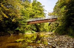 Ein malerischer Holzsteg schwebt über das glitzernde Wasser des Baches, umgeben von üppigem Grün und den warmen Farben des Herbstlaubs. Die sanfte Brise trägt den Duft der Natur und lädt zu einem entspannenden Spaziergang in dieser idyllischen Landschaft ein.