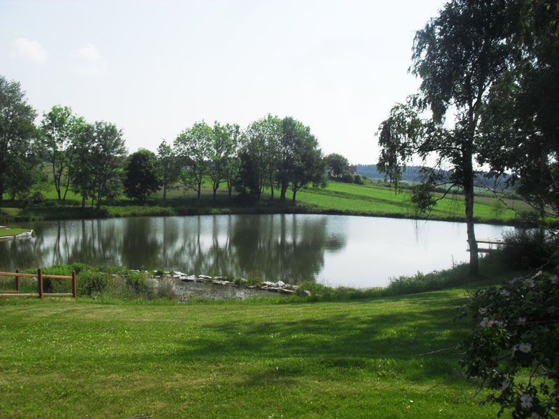 Miestny rybník Sallingberg