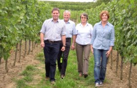 Viticulture Harald Groll, © Weinbau Harald Groll