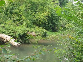 Kleine Au, Fischamend, © Unknown