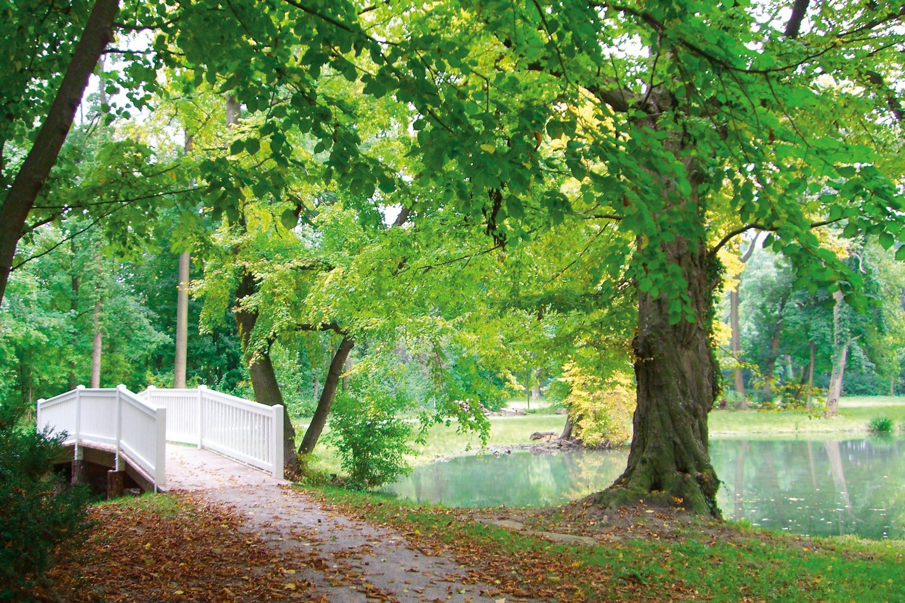 Park Harrach