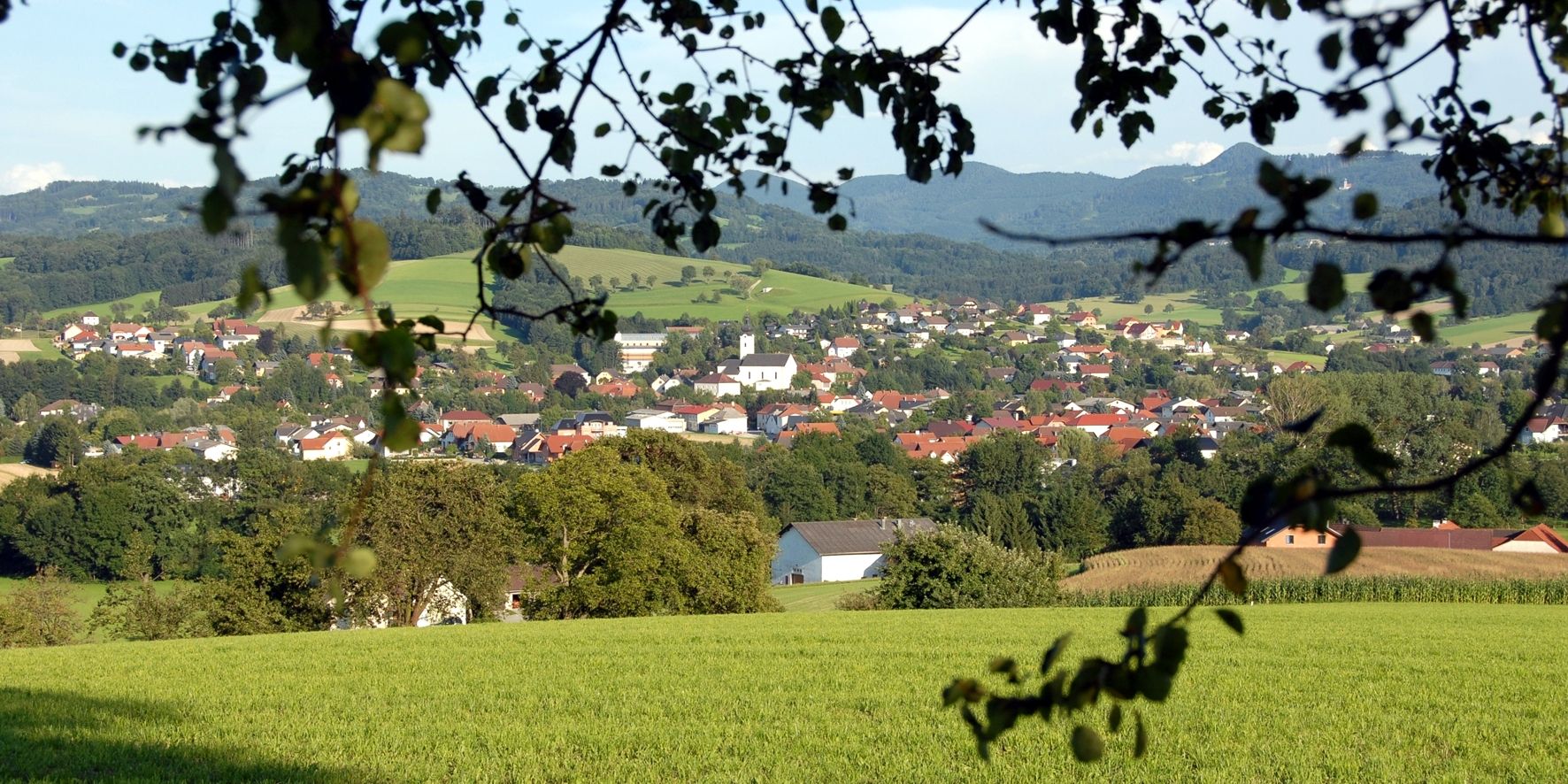 Panoráma mesta Oberndorf an der Melk so zelenými poliami a kopcami v pozadí.