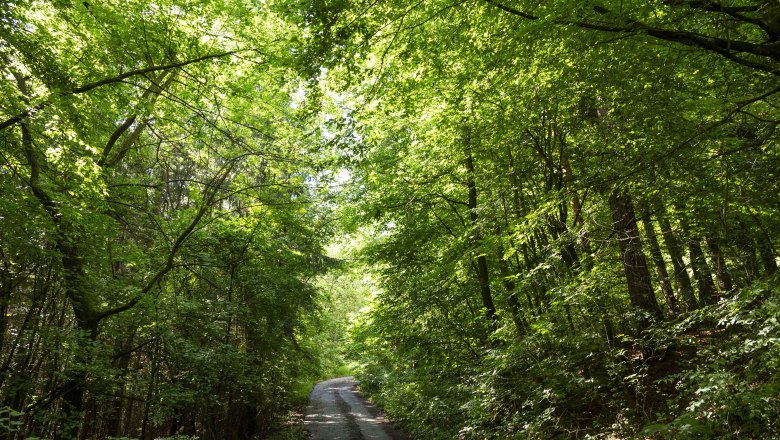MTB-Touren im Waldviertel, © Donau NÖ_Barbara Elser