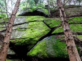 Fotoprech&aacute;dzka, &copy; Waldviertel Tourismus