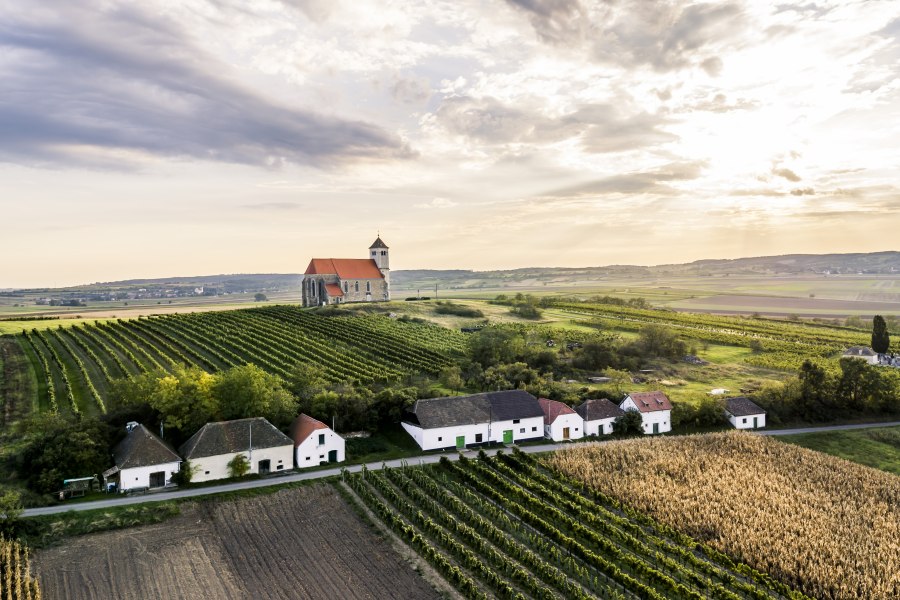 Vínna ulička Wartberg, © Weinviertel Tourismus/Robert Herbst