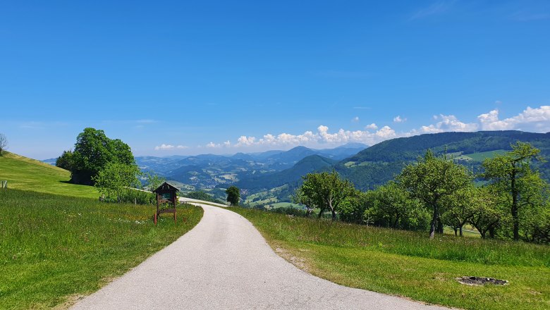 &Ouml;tscherView, &copy; Melanie Schweighuber