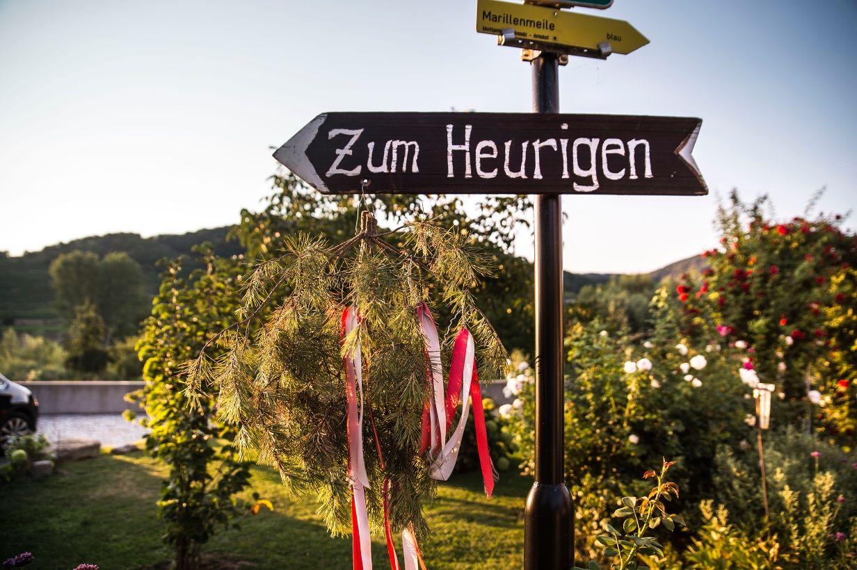 Ausgsteckt is - Na Viecha