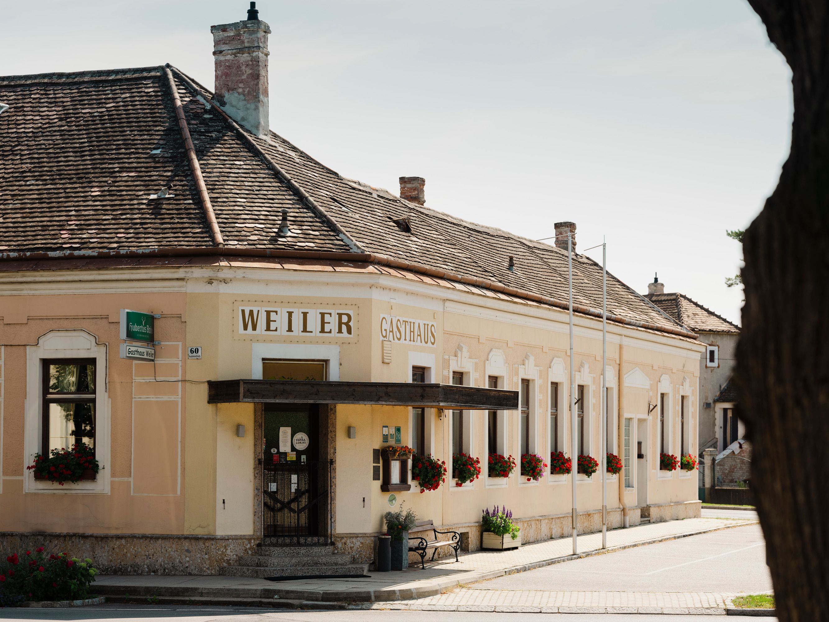 Ein Haus mit Geschichten in Laa a. d. Thaya