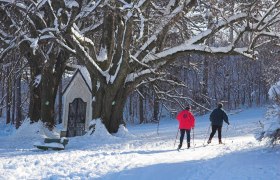 Hafnerberg-Peilstein cross-country ski trail, &copy; Loipe Wald