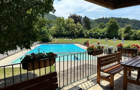 Baz&eacute;n s vodou a l&uacute;kou okolo neho