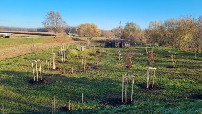 Ecological showcase area, &copy; Stadtgemeinde Traismauer