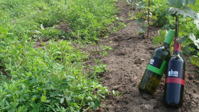 Ehm wines, &copy; Ehm-Weine