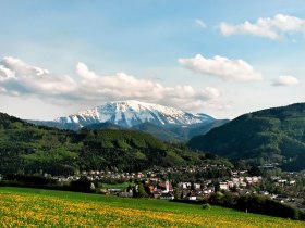 MTB Mostviertel Scheibbs, &copy; Mostviertel