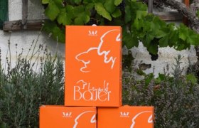 Viticulture Leopold Bauer, &copy; Bauer Leopold