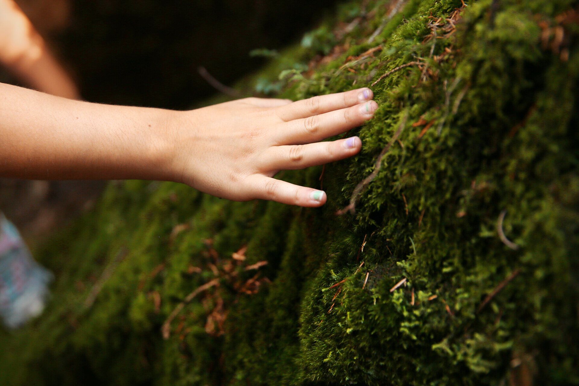 Die sanften, moosbedeckten Felsen laden dazu ein, die Natur hautnah zu erleben. Ein Gefühl von Ruhe und Erneuerung breitet sich aus, während die Hand sanft über das grüne Moos gleitet. Hier, wo die Elemente harmonisch zusammenkommen, wird jeder Moment zum unvergesslichen Erlebnis.