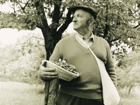 Wild-Kr&auml;uterwanderweg, &copy; Waldviertel Tourismus