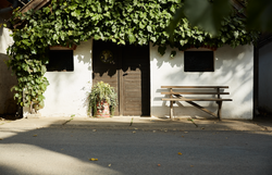 Vínna ulička v Hadres s bielymi domčekmi a viničom.