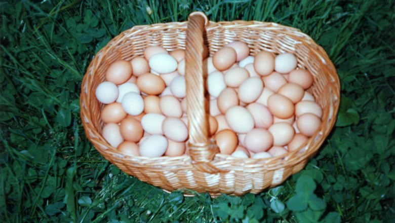 A woven basket filled with white and brown eggs on a green meadow., &copy; Monika`s H&uuml;hnerhof