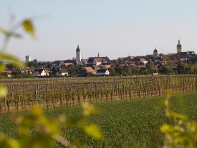 Pilgern im Retzer Land, &copy; Weinviertel Tourismus / Wurnig