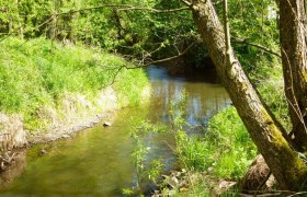 Waldviertel Seminar House Gauguschmühle, © Waldviertler Seminarhaus Gauguschmühle
