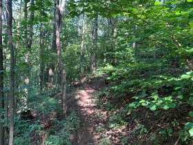 Pfarrleiten, &copy; Marktgemeinde Echsenbach