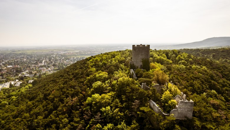 Helenental so zrúcaninou hradu Rauheneck, © Robert Herbst