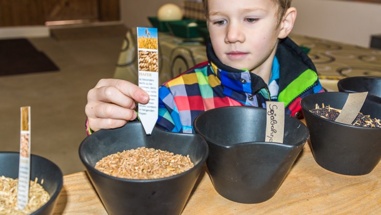 Určenie zrna, &copy; Otto Brandl