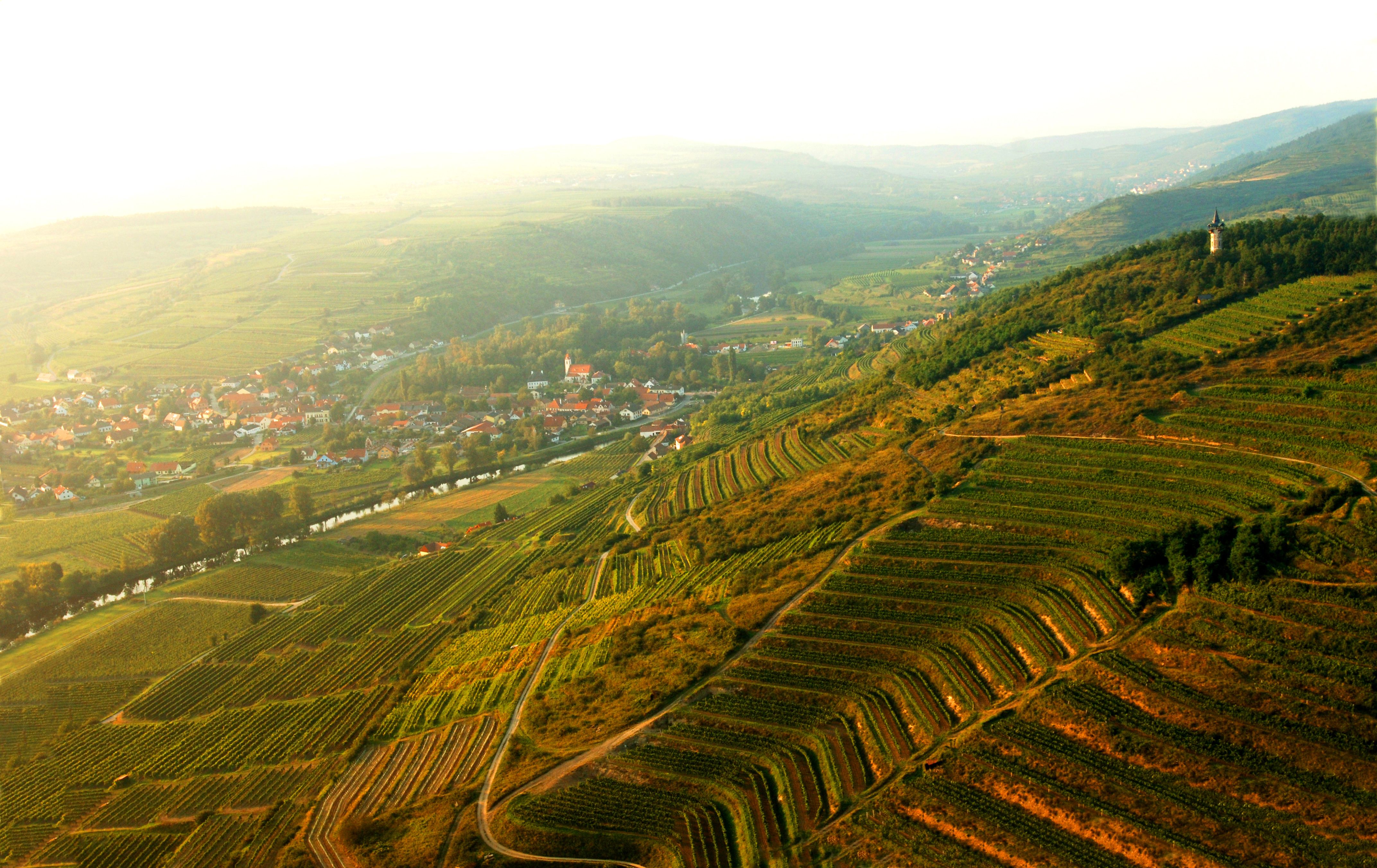 Letecký pohľad na Langenlois s vinicami a dedinou v pozadí.
