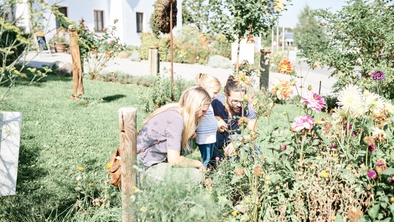 Familienszenen 7 ©SONNENTOR Schrägstrich @nudlholz.at (1), © ©SONNENTOR/@nudlholz.at