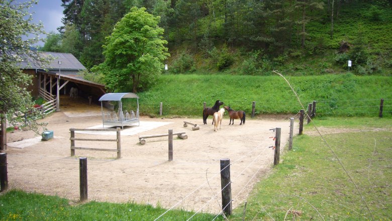 Horse farm run, &copy; Pferdehof Kurzmann