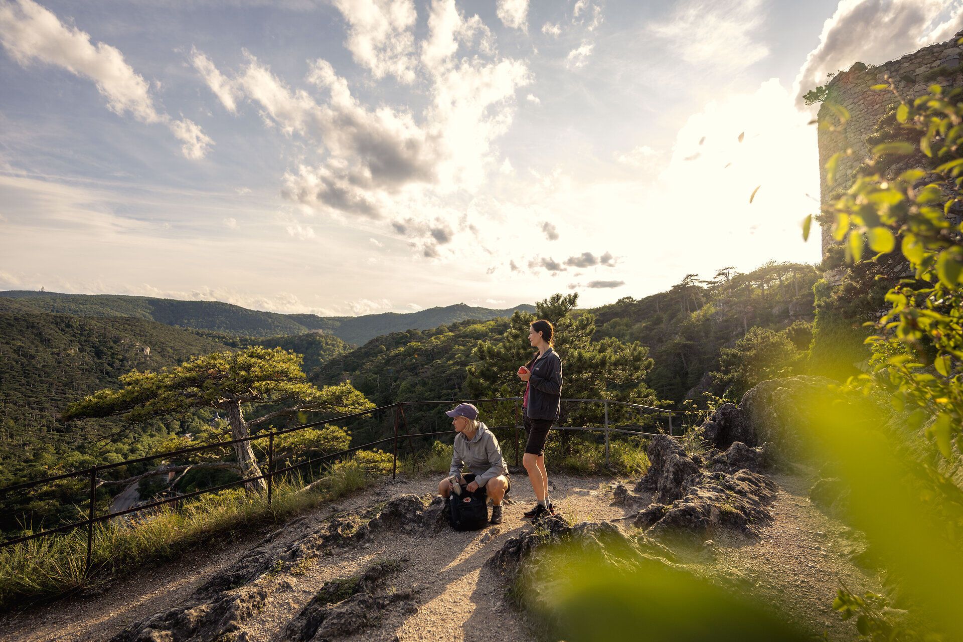 V pozadí sa majestátne rozprestierajú kopce Viedenského lesa a turistov objímajú teplé slnečné lúče. Toto miesto obklopené voňavými borovicami a upokojujúcim zvukom prírody vás pozýva na oddych a vychutnávanie si úchvatného výhľadu.
