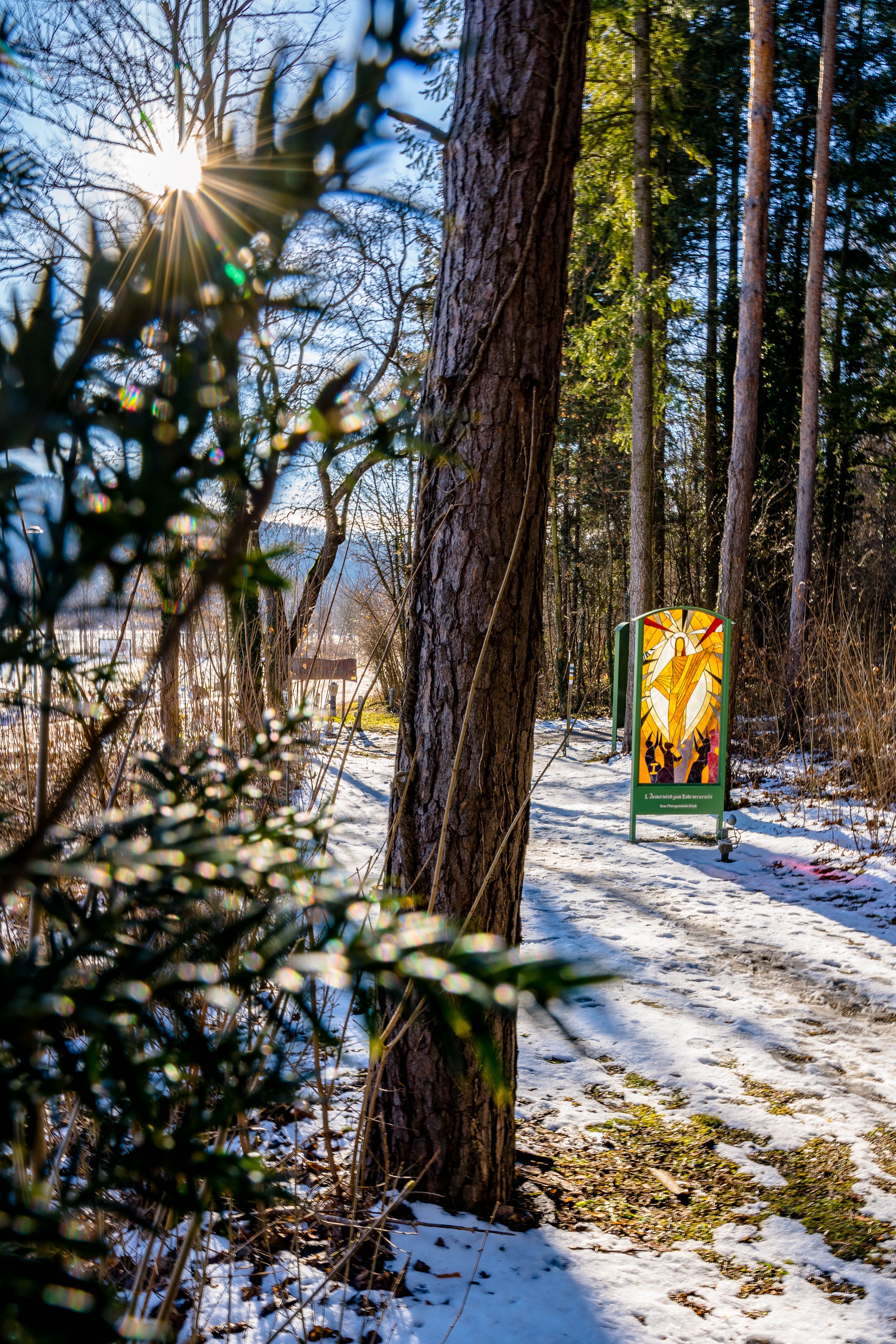 Zimná lesná cesta so slnkom a náboženským obrazom zo skla.