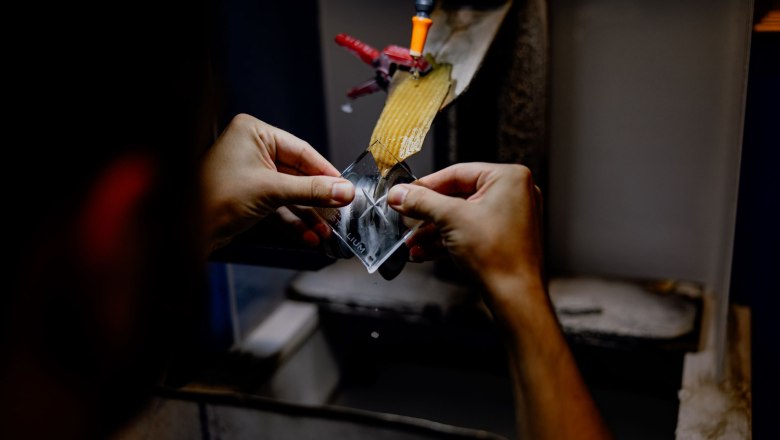 KRISTALLIUM glass.experience., © Waldviertel Tourismus, Matthias Streibel