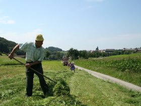 Heuarbeiten bei Maria Laach, &copy; Arbeitskreis Wachau/Ronald W&uuml;rflinger